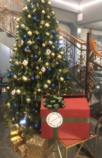 изображение слайдера