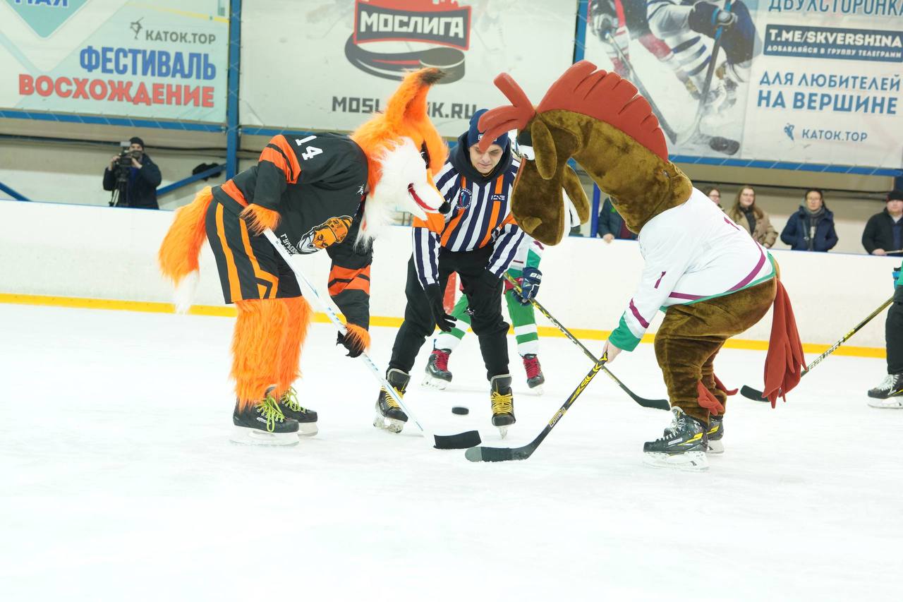 изображение новости