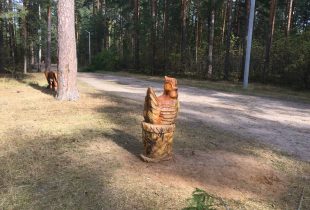изображение слайдера